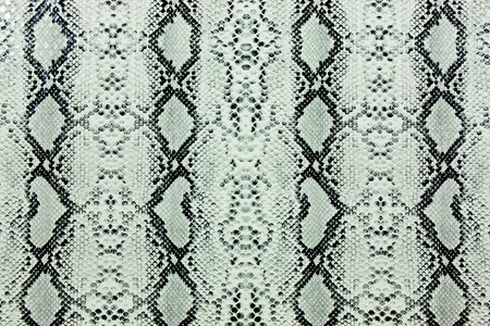 Snake skin patternの写真素材