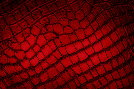 Red textureの写真素材