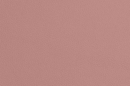 Leather texture to backgroundの写真素材