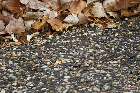 leaves on roadの写真素材