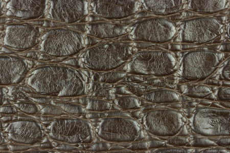 crocodile leather macroの写真素材