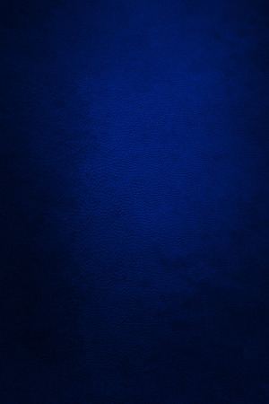 blue leatherの写真素材