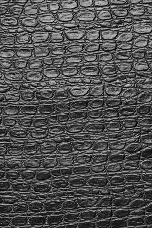 crocodile leatherの写真素材