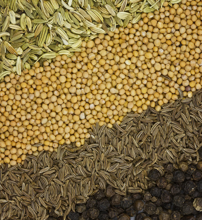 spice backgroundの写真素材
