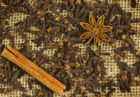 star anise and cinnamonの写真素材