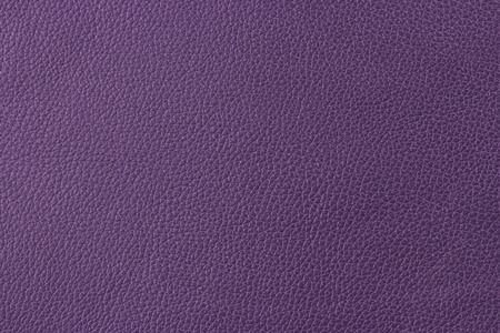 violet leatherの写真素材