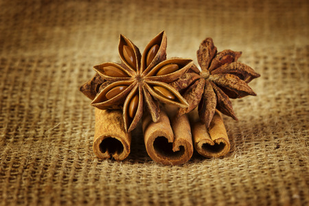 anise and cinnamonの写真素材
