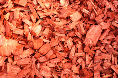 Wood Chip or garden mulchの写真素材