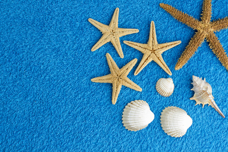 summer abstract background with sea starsの写真素材