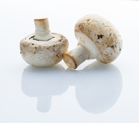 common mushroom on white table with reflection の写真素材