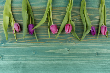 tulips over  wooden tableの写真素材