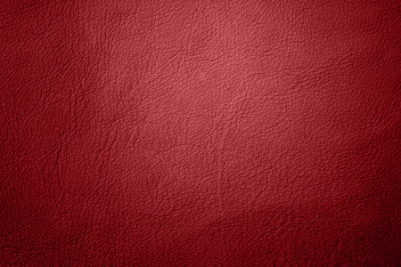 Red christmas backgroundの写真素材