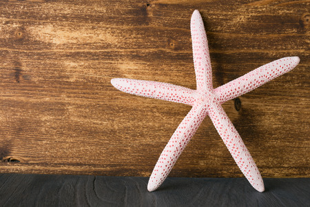 Starfish on woodの写真素材