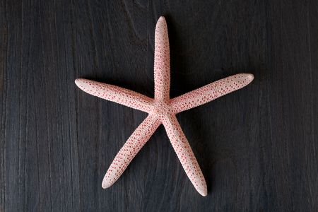 Close-up of red starfish on old wooden boardの写真素材