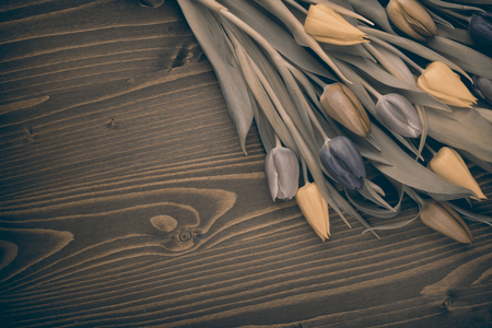 tulips over brown wooden tableの写真素材
