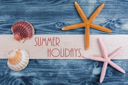 sea shells and starfish on the wooden boardの写真素材