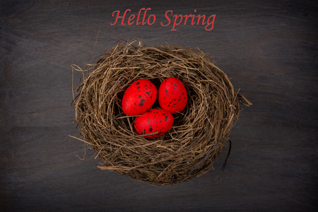 eggs in nest on rustic wooden backgroundの写真素材