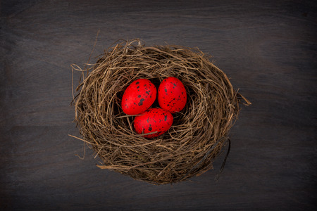 eggs in nest on rustic wooden backgroundの写真素材