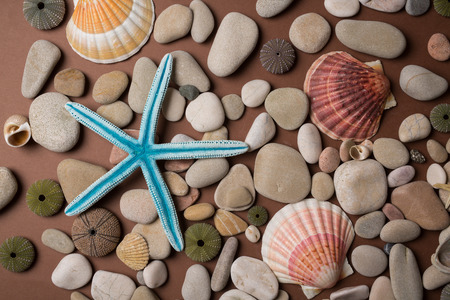 Background of pebbles, different shells and starfishesの写真素材