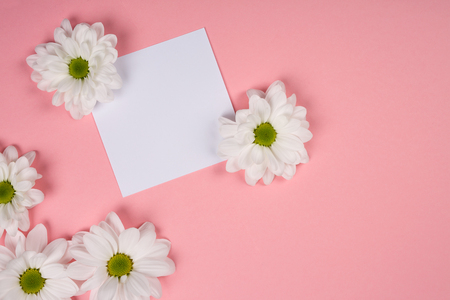 White flower closeupの写真素材