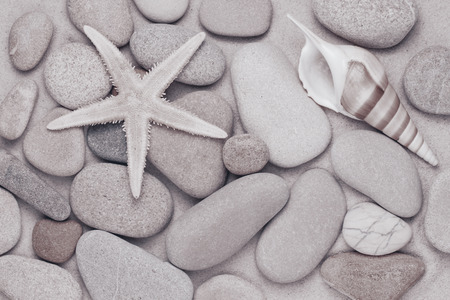 starfish and pebbles on the beachの写真素材