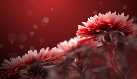 red flower backgroundの写真素材