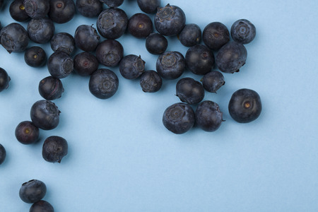 blueberries on the blue backgroundの写真素材