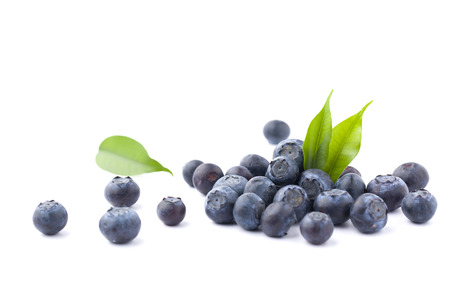 blueberries isolatedの写真素材