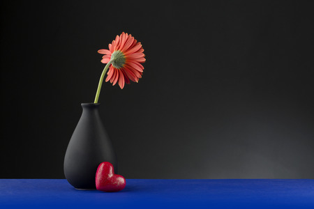 Gerbera flower in vase on dark background with red heartの写真素材