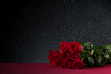 roses with dark backgroundの写真素材