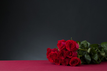roses with dark backgroundの写真素材