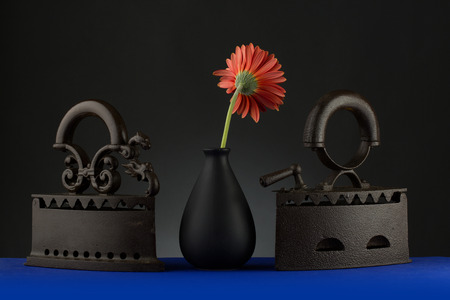 gerbera flowers and old ironの写真素材
