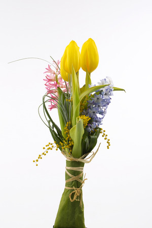Spring tulips, hyacinth over white backgroundの写真素材