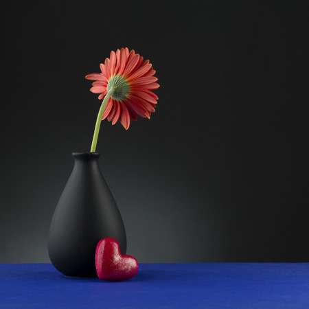 Gerbera in vase  on the black  background.の写真素材
