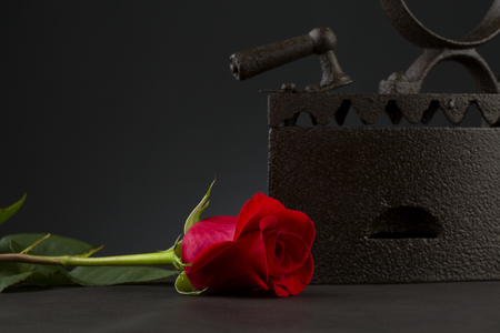 vintage iron and roseの写真素材