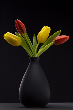 colorful tulipsの写真素材