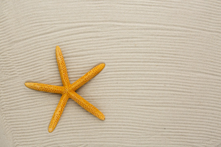 starfish on sandの写真素材