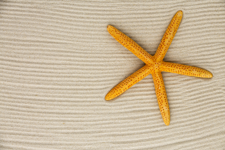 starfish on sandの写真素材