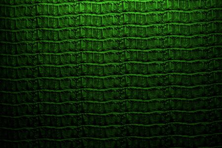 crocodile leather skin textureの写真素材