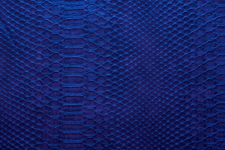 blue skin leather texture for backgroundの写真素材