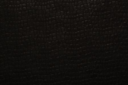 Black leather snake skin textureの写真素材