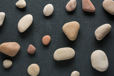 colorful sea pebbles with water dropsの写真素材