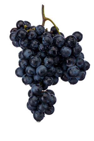 Dark blue grape with leaves isolated on white backgroundの写真素材