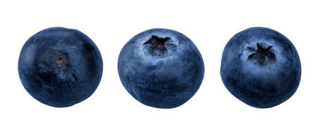 Blueberries set isolated on white backgroundの写真素材