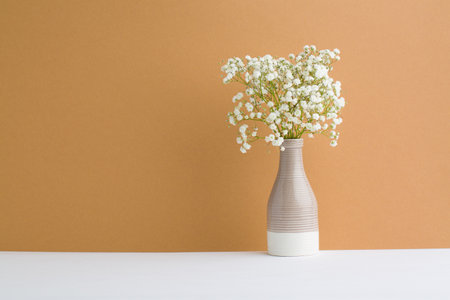 Soft home decor, white vase with white small flowers on a beige wall backgroundの写真素材
