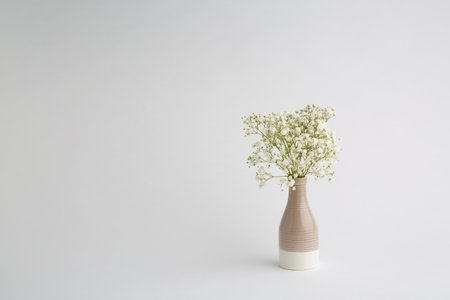 white flowers on a white background. Soft home decor. White flowers in a vase.の写真素材