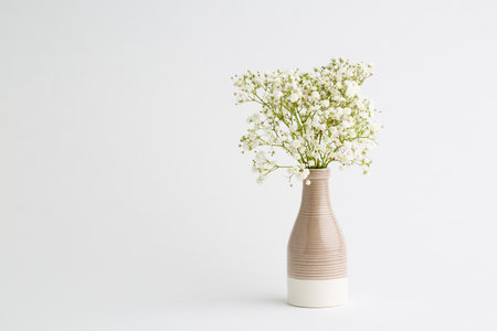 white flowers on a white background. Soft home decor. White flowers in a vase.の写真素材