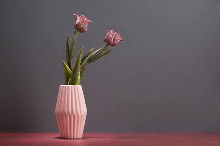 Pink tulips in vase on wooden table, gray background.の写真素材