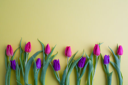 Bouquet of purple tulips on a yellow background with copy spaceの写真素材