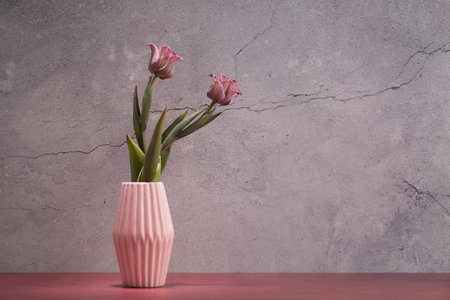 Pink Tulips in Vase on Pink Table Behind a Cement Wall, copy spaceの写真素材